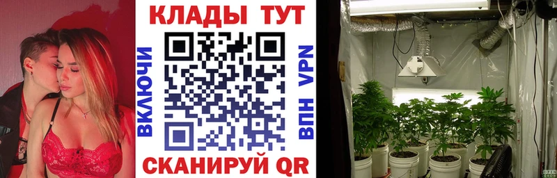 Галлюциногенные грибы Дубна