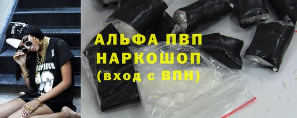 СК Инсар