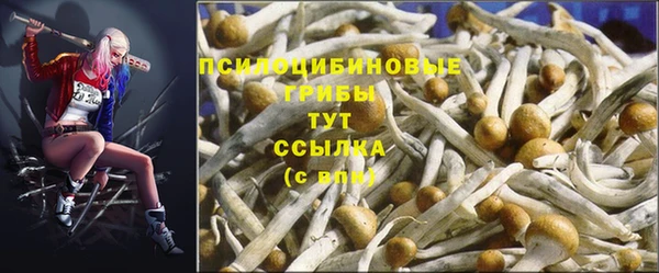 прущий лед Инта
