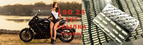 СК Инсар