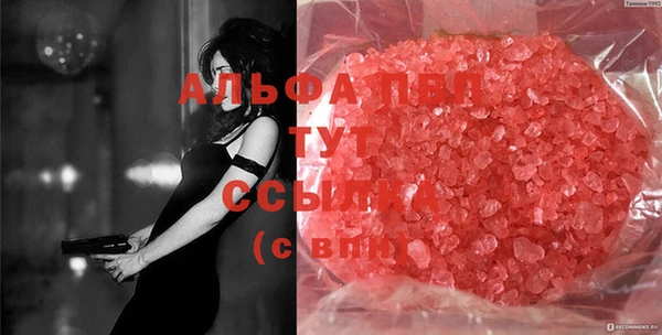 спиды Иннополис