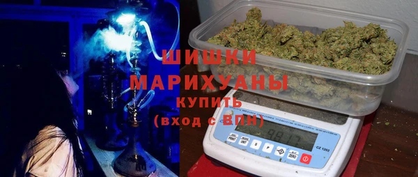 СК Инсар