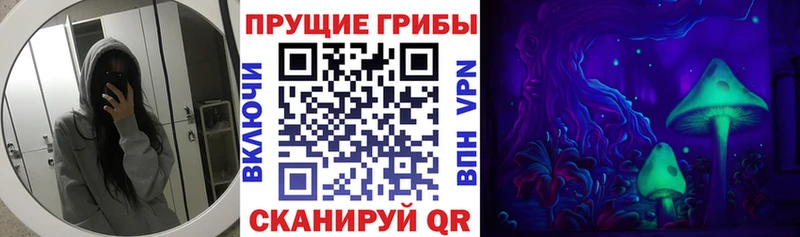 Псилоцибиновые грибы GOLDEN TEACHER  Купить где  Дубна 